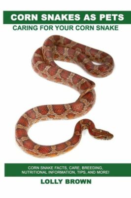 Corn Snakes As Pets: Corn Snake Facts, Care, Breeding, Nutritional Informat...