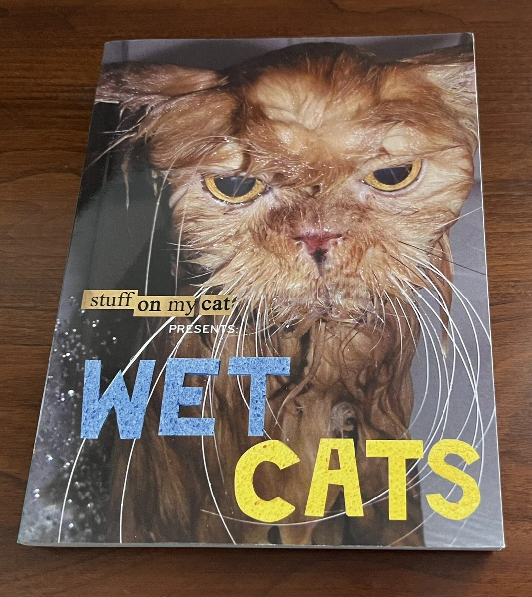 Wet kitties deals