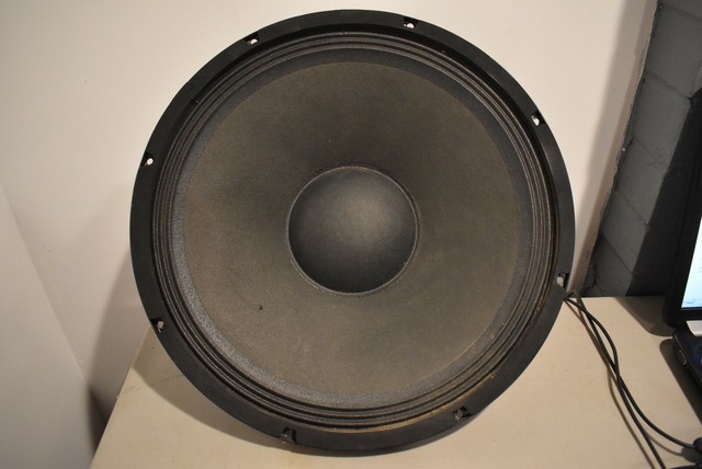 peavey monitors used