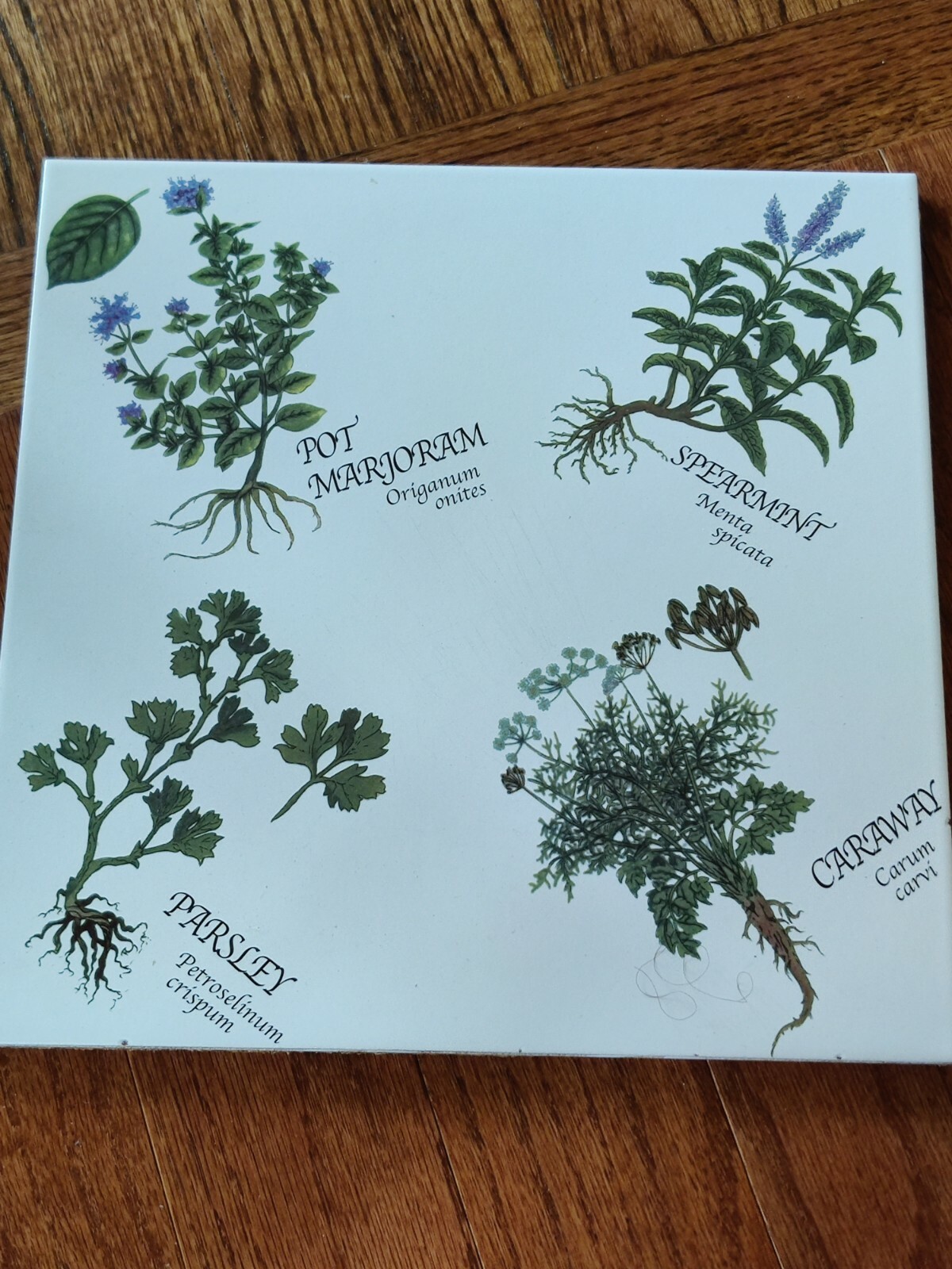 Tile Trivet Hot Plate on Cork 11" Spices Plants Parsley Caraway eBay