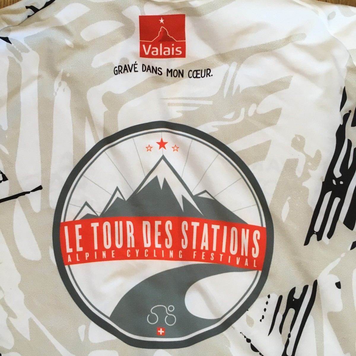 Maillot Cyclisme Homme ODLO Le Tour Des Stations Suisse Taille S Très Bon état