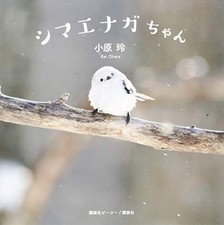 Shimaenaga-chan Japanese Craft Book
