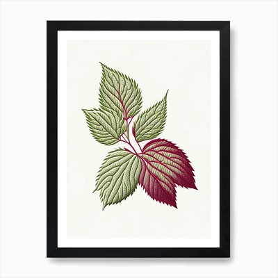 Himbeerblatt Kraut William Morris gerahmtes Wandbild Poster Leinwanddruck Bild