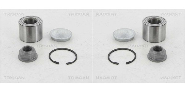 2X Triscan Radlager Radlagersatz Hinten Links Rechts FüR Renault Clio IV Bh_-image