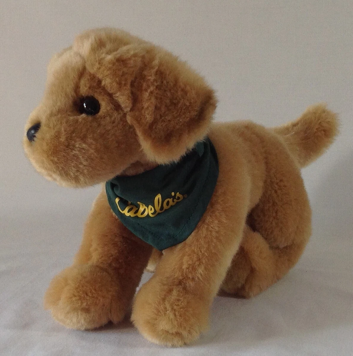 Cabela's dog training outlet supplies