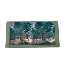 Stereoview Card Mammoth Bird Cage 1900s Vintage Photography 7"x3.5"