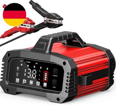 25A Ladegerät Autobatterie Car Battery Charger, 12V/24V KFZ Batterieladegerät Vo