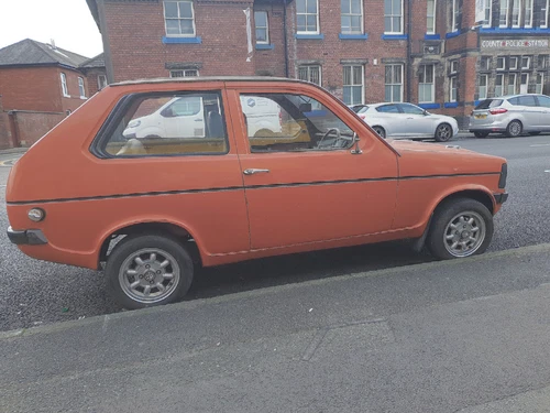 Reliant Kitten "Garfield" - Picture 1 of 19