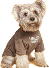 Cute Dog Clothes,Dog T Shirt for Medium and Small Girl Boy Puppy.Breathable Soft