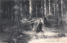 88* VOSGES  le schlitage du bois       RL57,0715