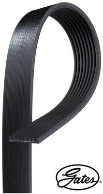 Gates 8PK1955HD Keilrippenriemen Keilriemen 