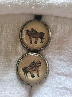 Bridle Rosette's  Draft Horse Team Pearl Bg 2 in brass and glass