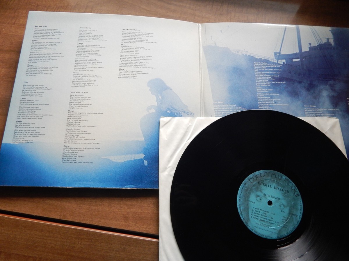CHERYL DUNN SOME KINDA VOCATION DVD付き CHERYL DUNN SOME KINDA VOCATION DVD付き 本 - アート