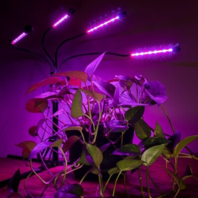 AgroMax Homeglow Flex 4 Full Spectrum LED Grow Light - 3 YEAR WARRANTY!