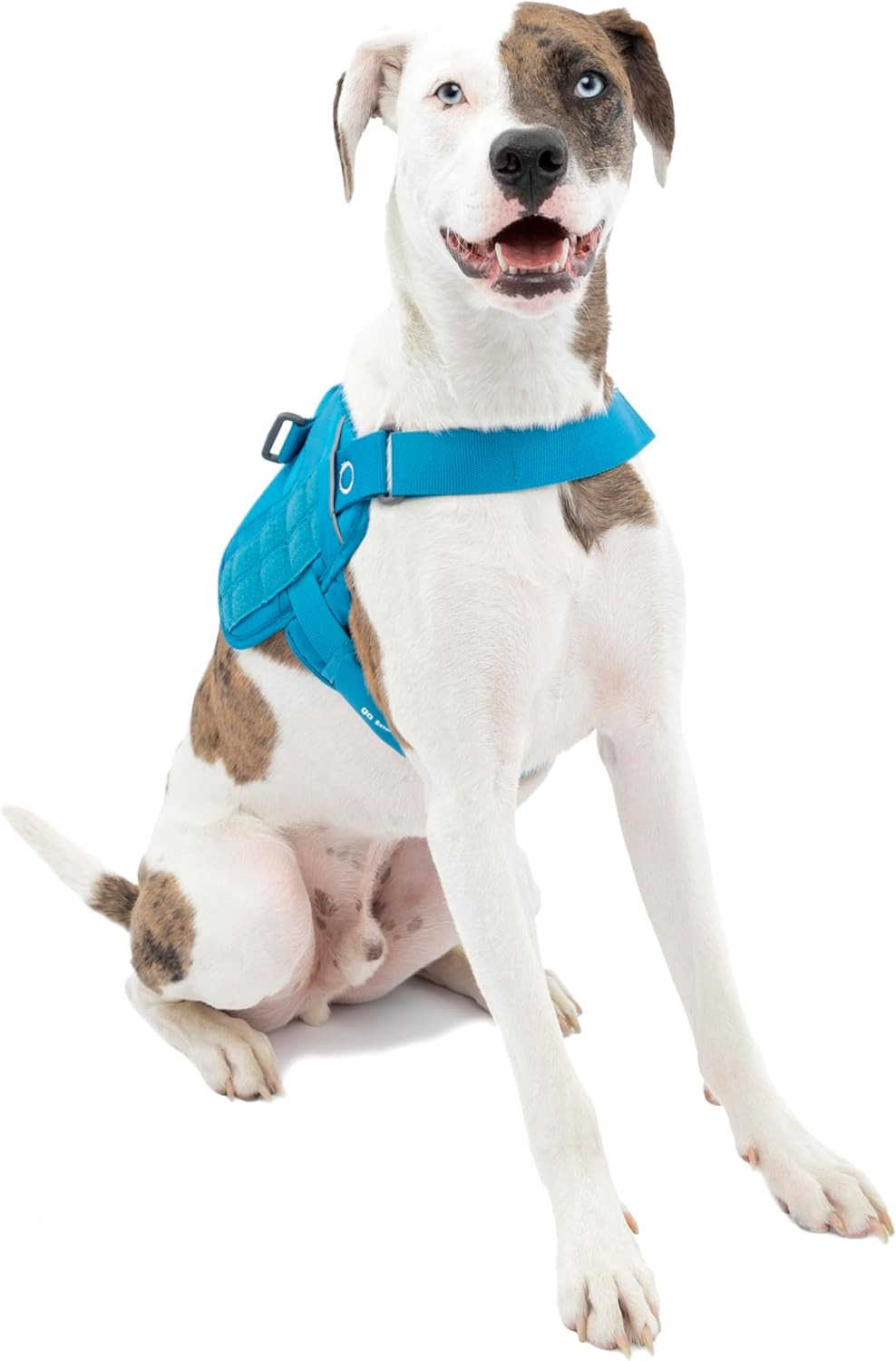 Pettorina Cane Townie RSG Kurgo - Ideale per Trekking e Outdoor
