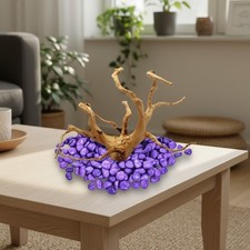 Assorted Spider Wood Driftwood for Aquariums - Enhances Fish Habitat, 3.15''-4''