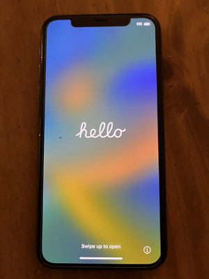 Apple iPhone X - 256 GB - Gray (Unlocked)