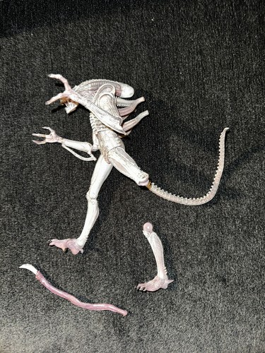 Alien vs. Predator: Grid Alien & Eggs With facehuggers Lot - Picture 21 of 24