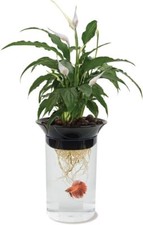 Target 0.5 Gallon Betta Tank And Hydroponic P...