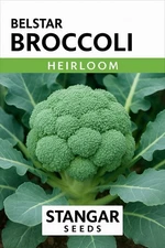 Belstar Broccoli Seeds 100% Organic Heirloom Non GMO Heirloom Seeds 2026