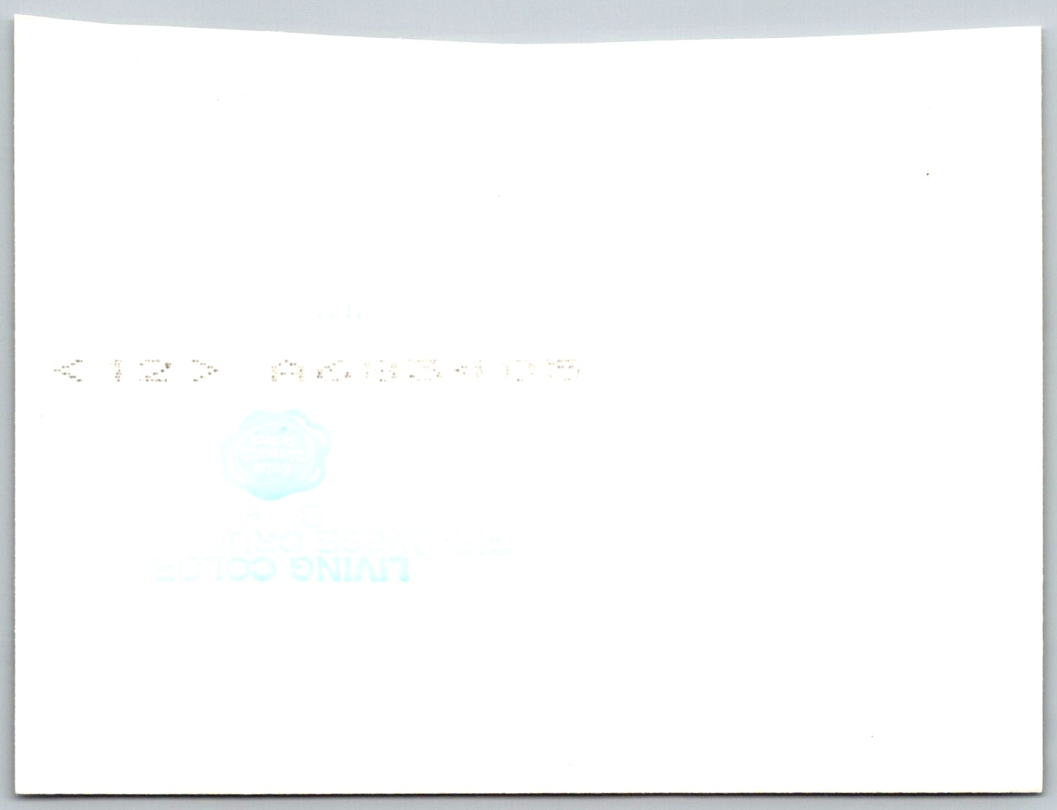 Picture 2