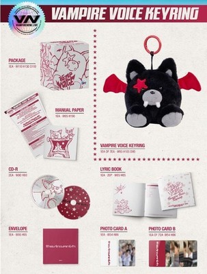 ENHYPEN THE SIN : VANISH 7th Mini Album Voice Keyring Ver | eBay