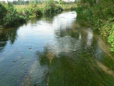 Foto 6x4 Knook: el río Wylye El agua clara del río Wyl c2007