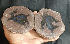 1430g/3.15 lb turkish thunderegg agate stone rough, customs duty included