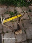 Bild 2 von 12