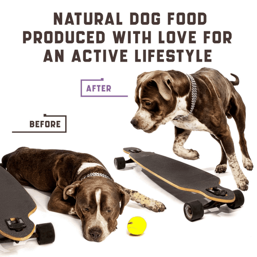 Glucosamine for Dogs Functional Dog Joint Supplement with Chondroitin Msm Hemp - Picture 5 of 7