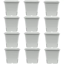 SUNPACK Square Tall Nursery Pot, White, 12" (Pack of 12)