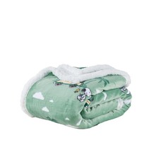 Berkshire Blanket Peanuts Sherpa Throw Blanket, 480gsm Warm Reversible Heavy