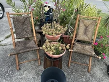 Pair 2 Mid Century Modern Bamboo & Rush Folding Chairs Pick Up Tampa Clearwater