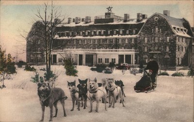 Champion Dog Team Skytop Lodge,PA Monroe County Albertype Co. Original Vintage