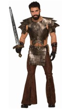 Medieval Armor Warrior Fantasy Men Fancy Dress Up Halloween Deluxe Adult Costume