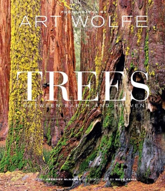 Trees by Art Wolfe, Gregory McNamee - 9781683839262 - Image 2