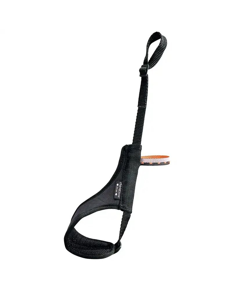- Correa fija para hachas de hielo Petzl Freelock para tracción violeta