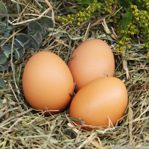 Stempel personalisiert Eier von glücklichen Hühnern Vintage Kranz Ei - Rundstemp - Bild 3 von 5