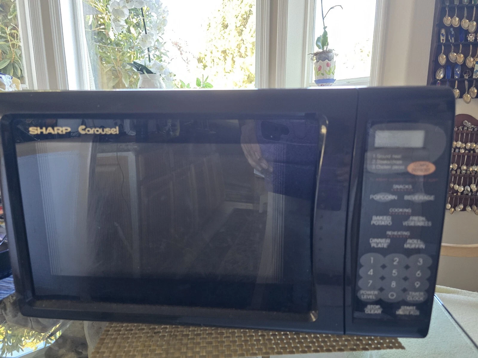 Sharp CAROUSEL Model R-230BK Countertop Microwave Oven Black 60 HZ