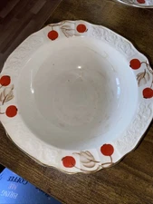 Myott Cherry Ripe bone china bowls