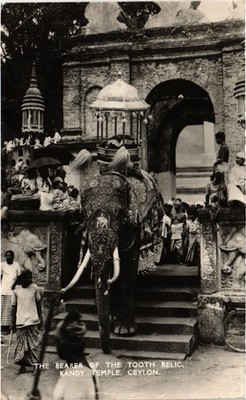 PC CEYLON SRI LANKA BEARER OF THE TOOTH RELIC, KANDY TEMPLE, CEYLON (a75824)