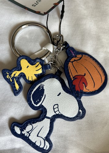 Vera Bradley Fall For Snoopy Peanuts Gang Woodstock Pumpkin Bag Charm Key Ring - Picture 1 of 2