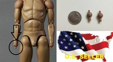 16 Scale 2 X Hands Pegs Wrist Joints For Hot Toys Zc Zy Coo Male Body Usa 16 Scale 2 X Hands Pegs Wrist Joints For Hot Toys Zc Zy Coo Male Body Usa