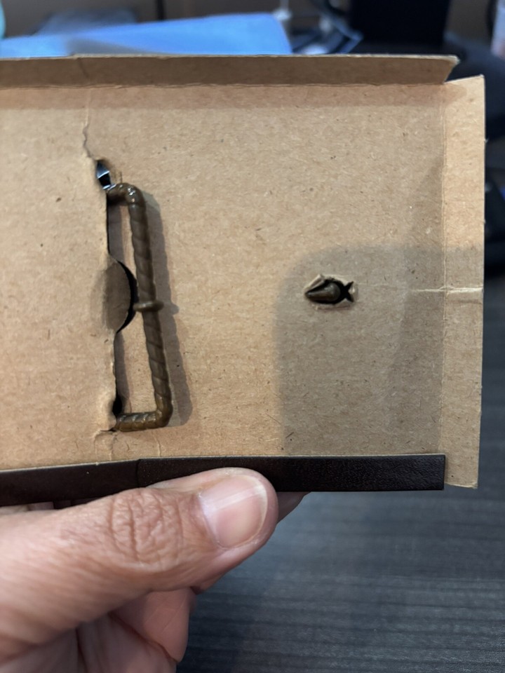 Harley Davidson Belt Buckle eBay