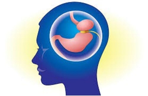 Gastric Band Hypnosis CD No Need For Surgery! Lose Weight Be Slimmer & Happier - Picture 5 of 5
