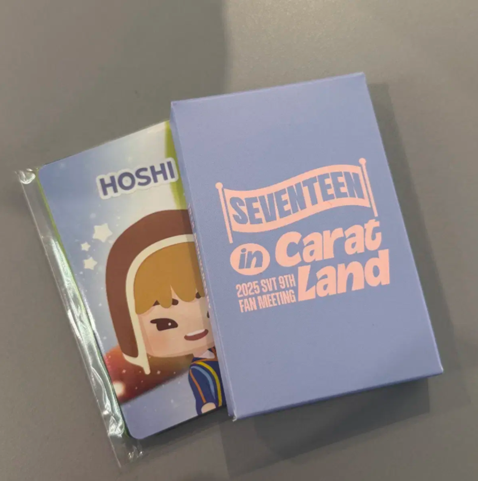 SEVENTEEN in CARAT LAND 2025 SVT 9TH FAN MEETING CARAT ZONE