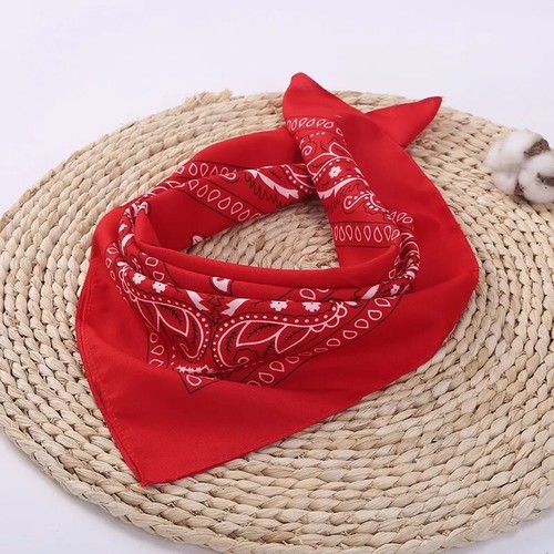 3-Pack Bandana 100% polyest Paisley Print Double-Sided Scarf Head Neck Face Mask - Picture 6 of 12