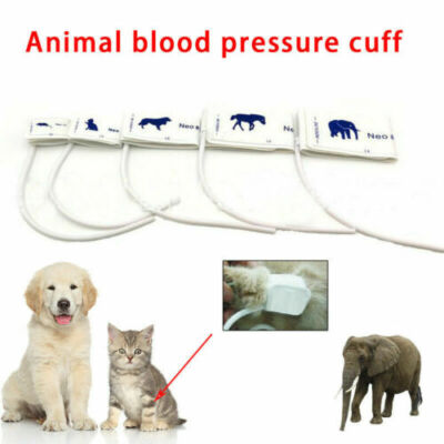 A set of animal pet cuff blood pressure cuff for hamster/cat/dog/horse/elephant