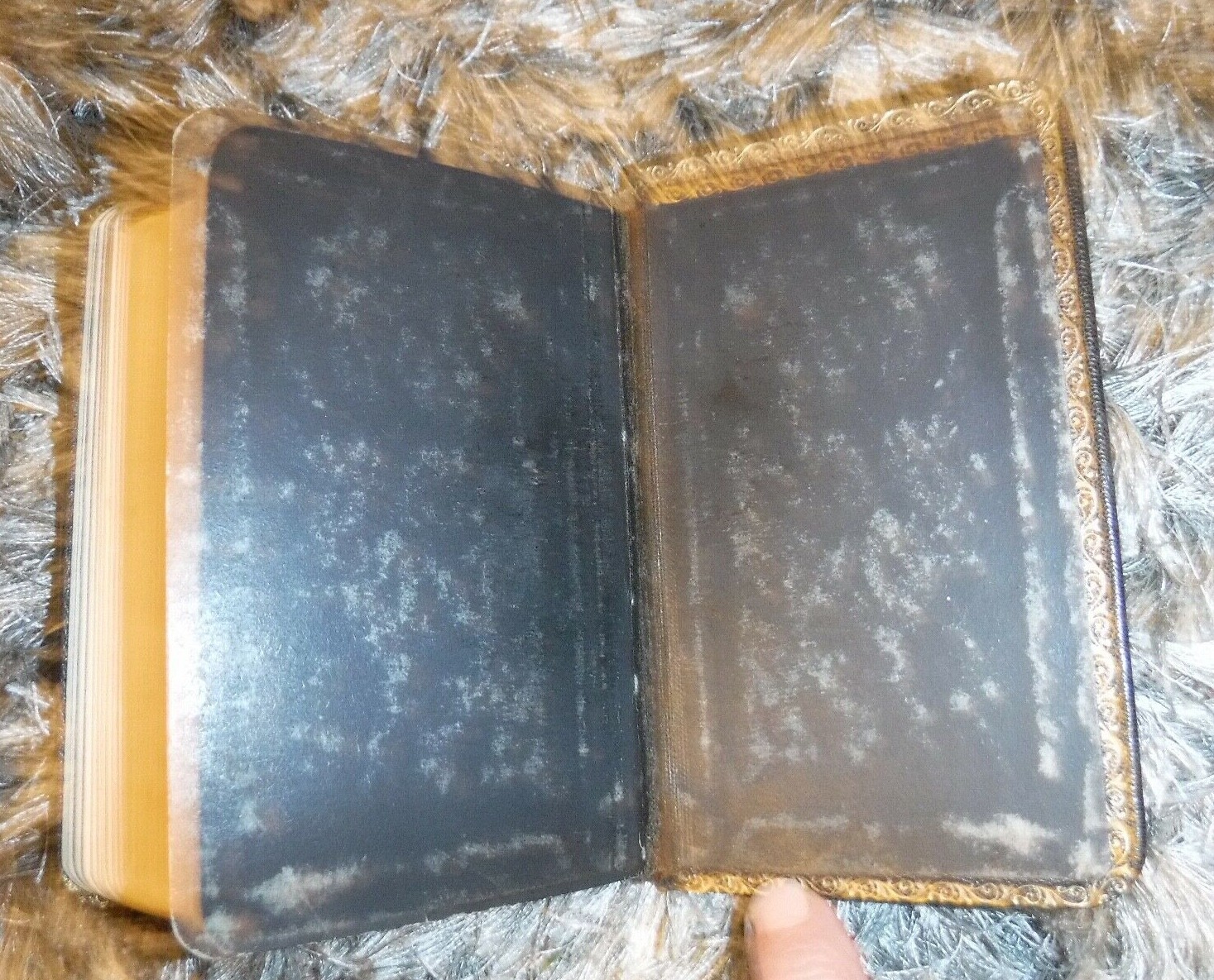 Picture 6 of 7