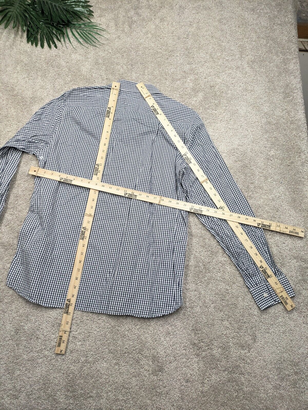 Picture 5 of 6